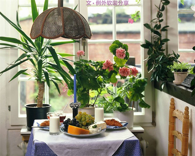 家里植物這樣擺，打造”另類“居室（一）