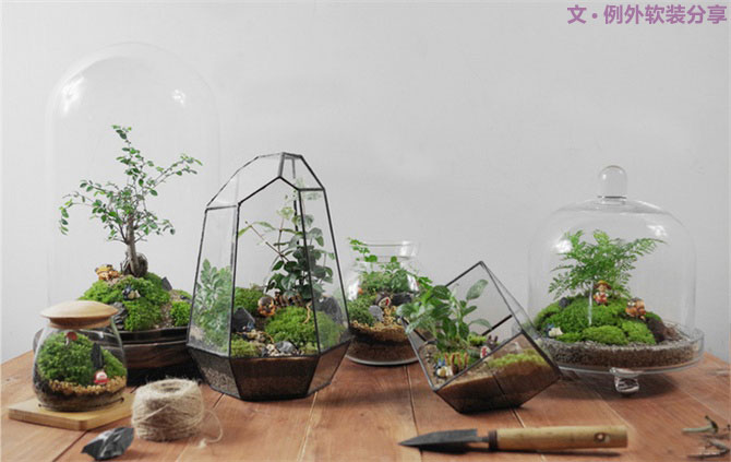 別再花錢(qián)買(mǎi)普通的花盆了，這才是種花神器！