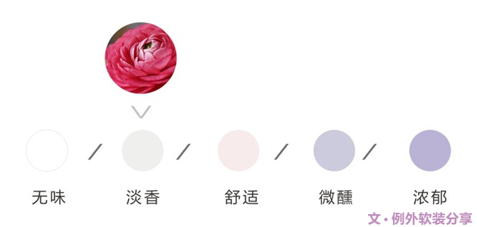 【例外·花箋記】洋牡丹，花叢中的人氣精靈-別墅設計,軟裝設計,室內設計,豪宅設計,深圳例外軟裝設計公司